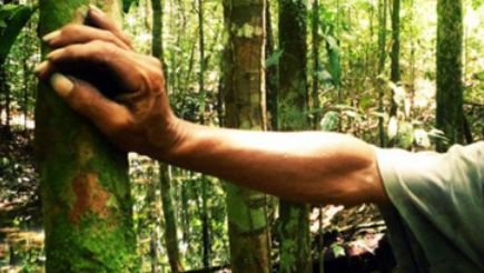 Revolta unui român din Germania: "Cu ce am greşit dacă Dumnezeu m-a făcut mai colorat?"