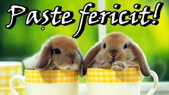 Mesaje de Paște haioase. Cele mai amuzante urări de Paște 2015