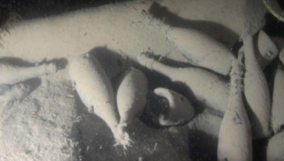 Ce gust are o şampanie veche de 170 de ani