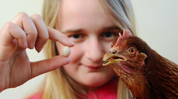 Cel mai mic ou din lume