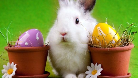 Cele mai bune bancuri de Paște 