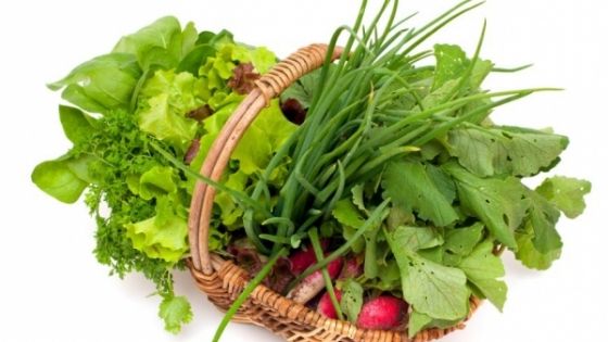 De ce verdeţurile de primavară ţinute la întuneric devin nocive