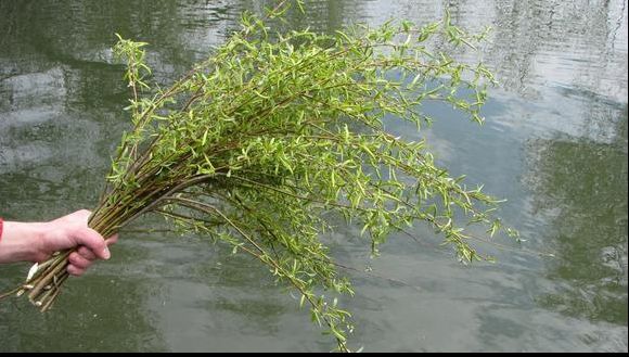 Ce nu ai voie să faci în seara de Florii? Ai grijă! E mare păcat