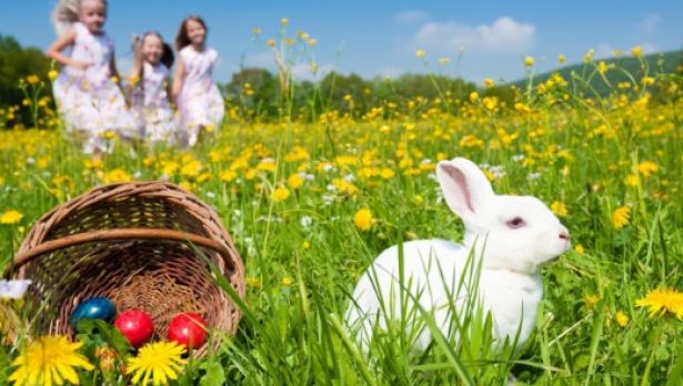 Urări de Paște. Cele mai bune mesaje și felicitări pe care le poți trimite de Paște 2015