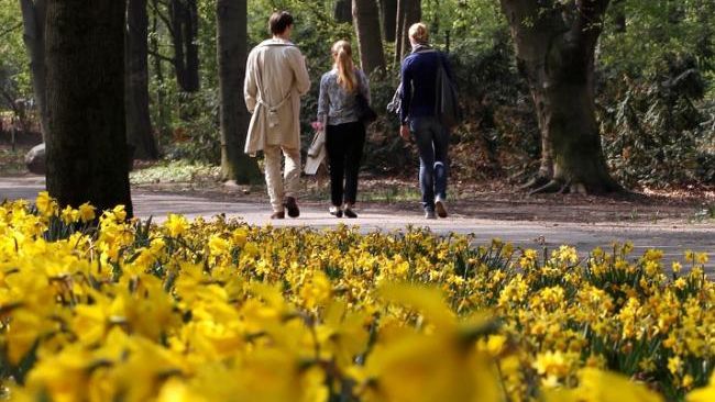 Prognoza meteo pentru luni, marți și miercuri: Cum va fi vremea în toată țara 