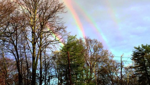 Așa arată un curcubeu cvadruplu. Imaginea care a făcut senzație pe rețelele sociale