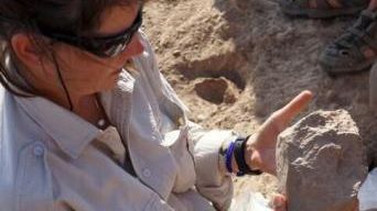 Primele unelte create de om ar putea avea o vechime de 3,3 milioane de ani - studiu