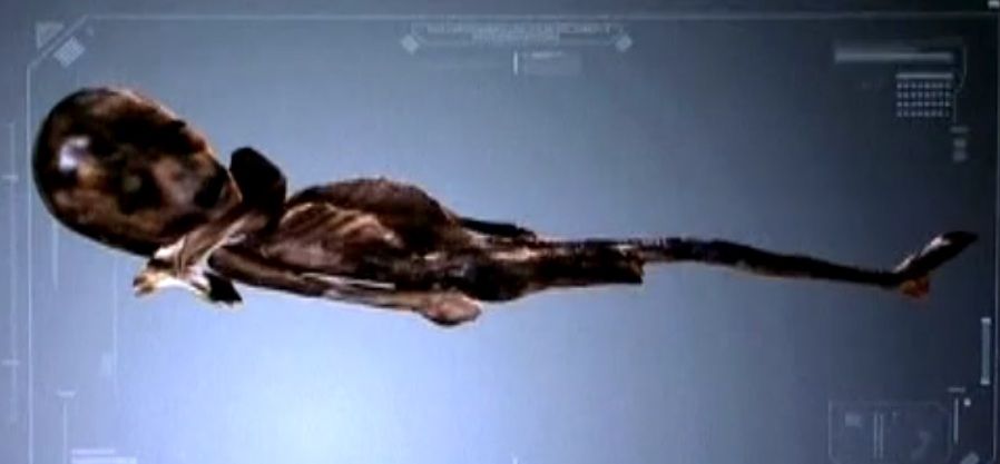 Fotografii în premieră cu "extraterestrul" din OZN-ul prăbuşit la Roswell