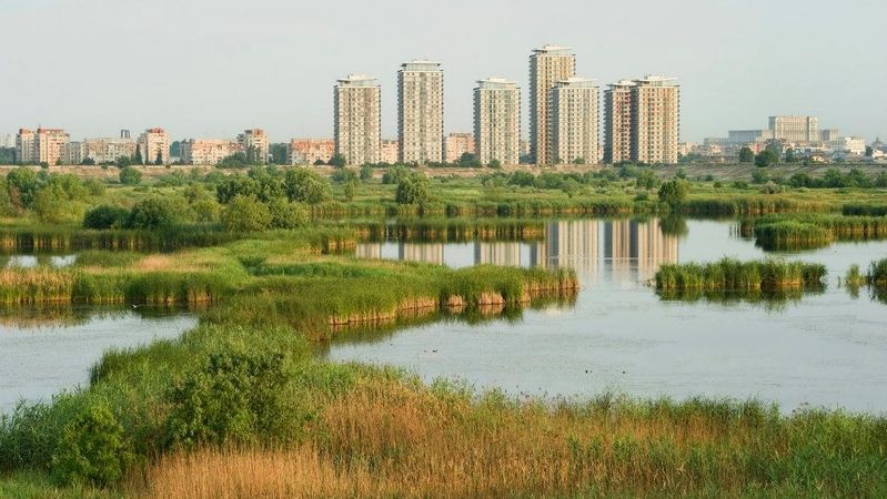 "Delta" Văcăreşti, mai aproape de statutul de parc natural. Ce au decis consilieri municipali