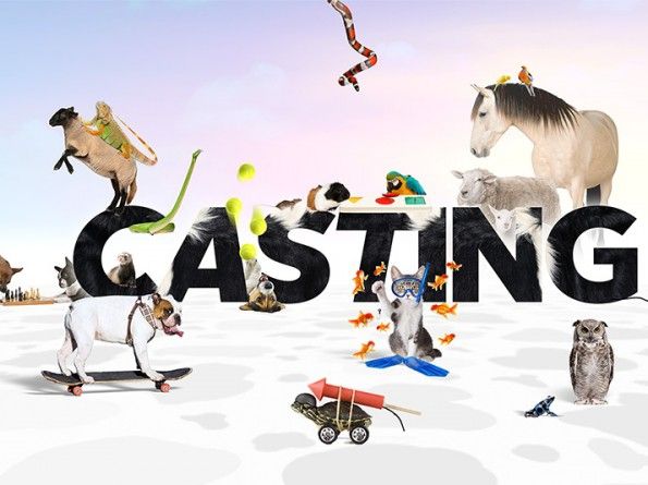 Antena 1 pregăteşte o mare surpriză Pro TV-ului. Plănuieşte un show prin care să rupă audienţele