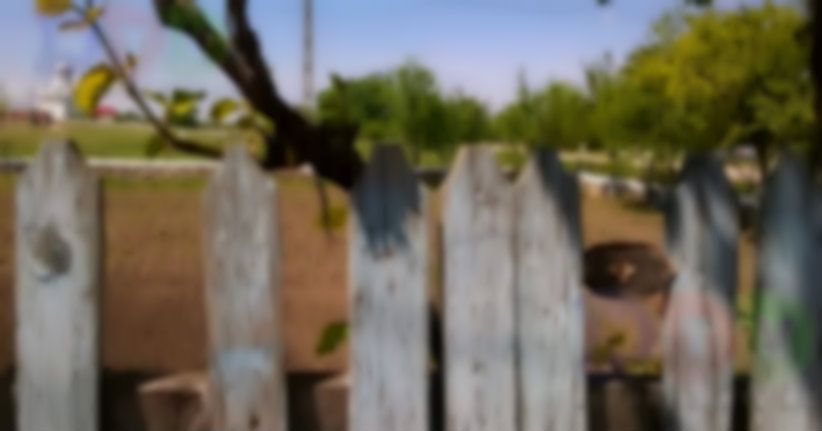 Minune în curtea unui localnic din Osmancea. Tot satul vorbeşte de ea