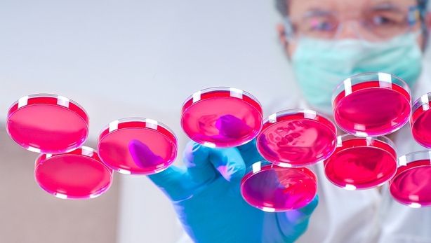 Apariţia cancerului ar putea fi prevenită: S-a descoperit cum se răspândesc celulele canceroase 