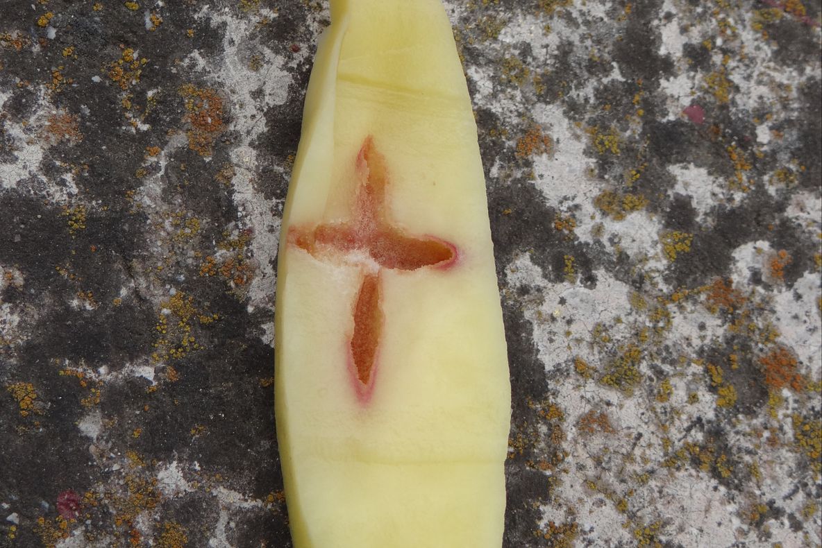 A curăţat un cartof şi a rămas uimită ce a găsit în interior 