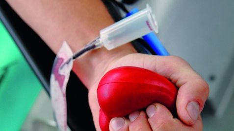 Campanie de donare de sânge, sâmbătă, în Parcul Herăstrău