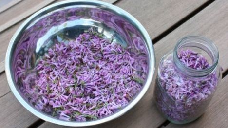 Rețeta longevității de la românul care a trăit 138 de ani