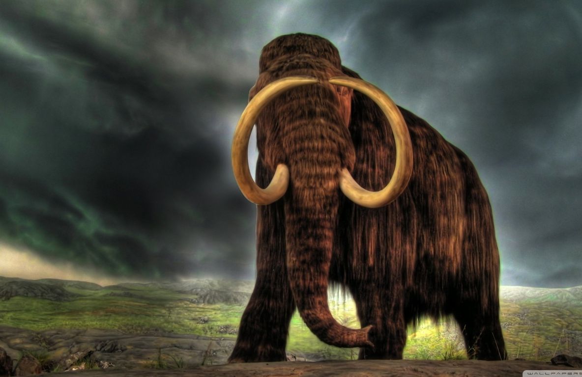 Animalele pe care le-ai văzut doar în filme ar putea reveni printre noi