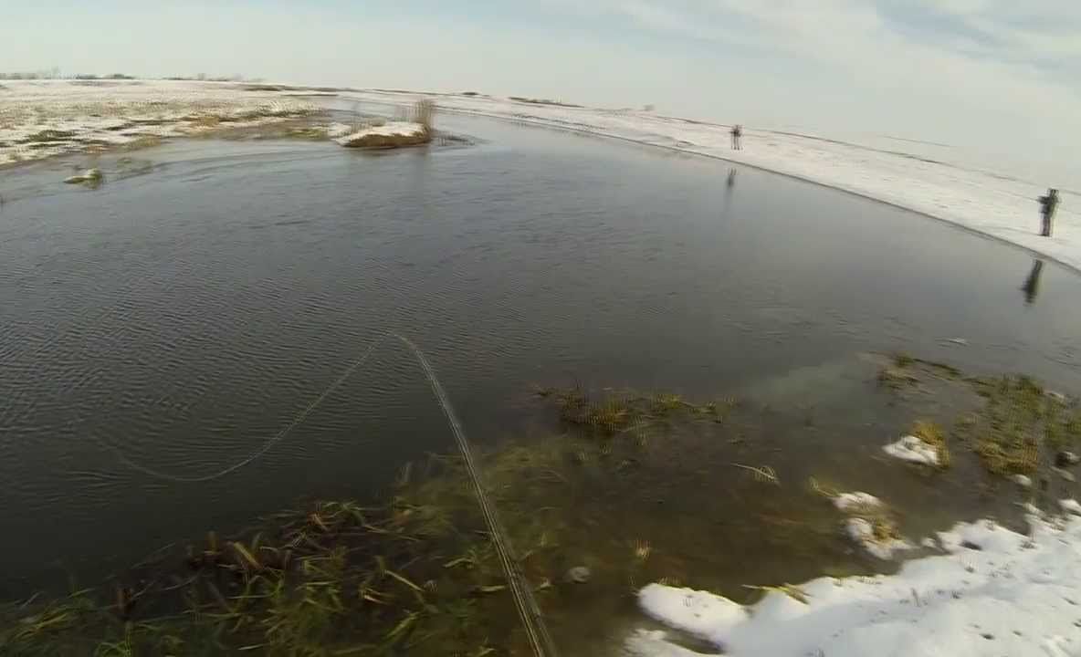 Tragedie în Timiș! Înghițit de ape, sub ochii soției, în timp ce încerca să salveze un miel