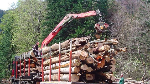 Iohannis a primit răspuns de la Consililul Concurenței pe Codul Silvic: Ne exprimăm îngrijorarea!