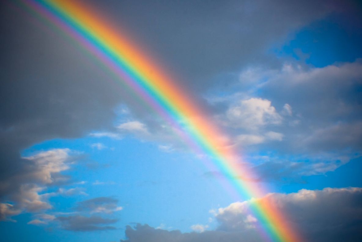 Gay Pride. Marșul diversității, pentru drepturile minorităților sexuale, contestat de Noua Dreaptă