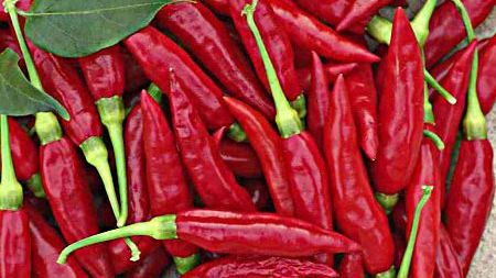 Ardeiul iute - remediu naturist. Cum îl puteți utiliza și ce beneficii are