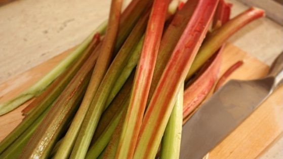 Planta care poate vindeca leucemia. Iată cum trebuie consumată