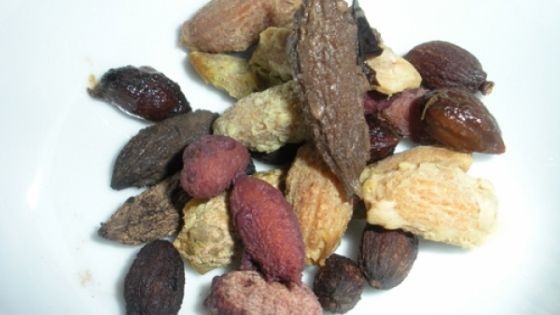 Cum îţi masezi picioarele cu sâmburi de măsline