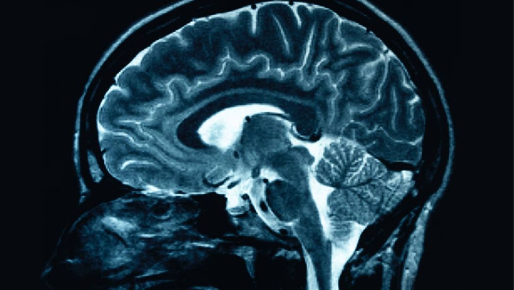 Te-ai gândit vreodată cum este să vezi sunete? Ei au făcut asta toată viața