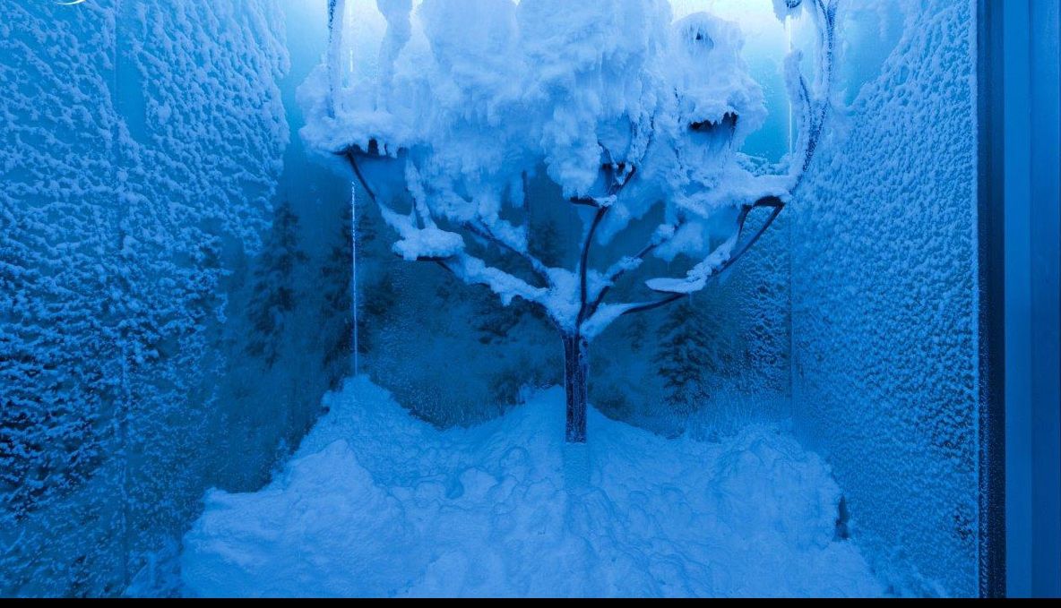 Terapia prin frig şi zăpadă. Ce beneficii aduce?
