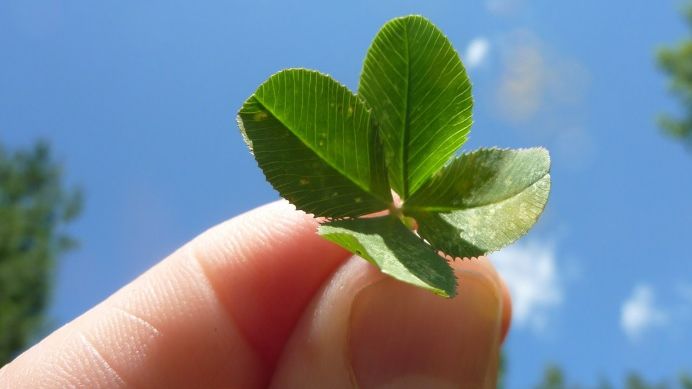Zodii care au noroc în luna mai. Şi tu ai motive de bucurie?