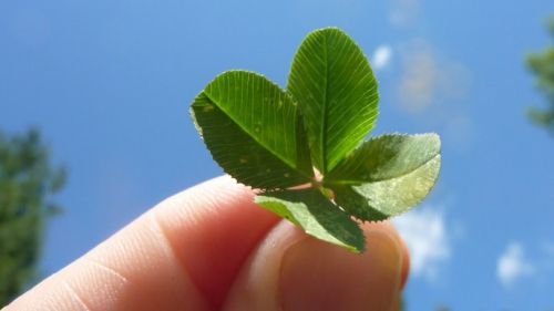 Clasamentul celor mai bogate zodii, realizat de Forbes