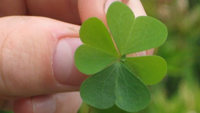 Zile norocoase la bani şi în dragoste, în iunie, în funcţie de zodie