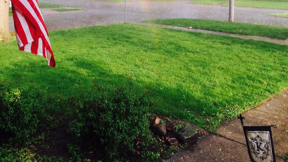 Ce a văzut un american în fața casei, azi dimineață. Imaginea face senzație pe Internet