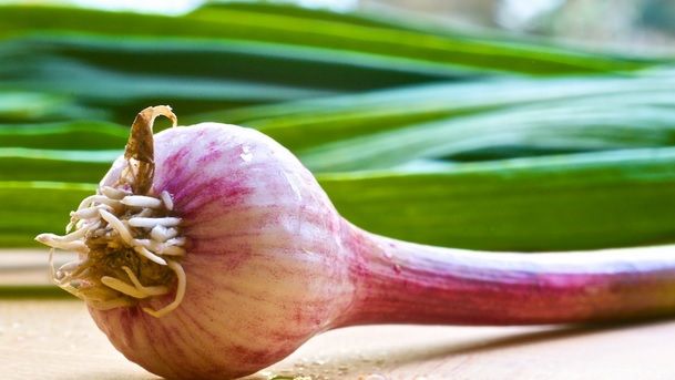 Usturoiul verde: opt beneficii fantastice pentru sănătate