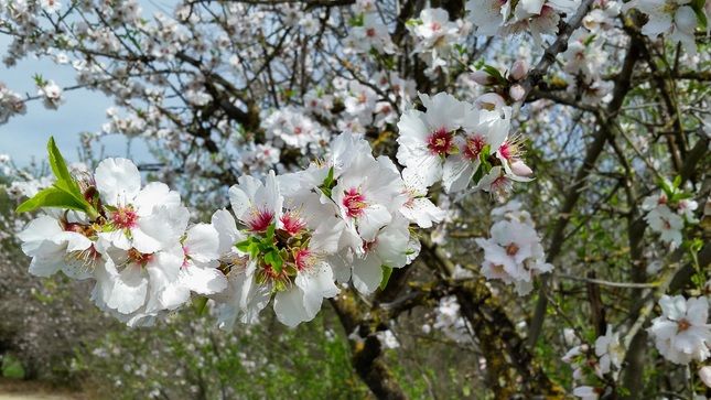 Prognoza meteo: maxima ajunge la 30 de grade