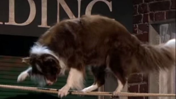 Scandal în finala "Britain's Got Talent": sute de plângeri primite despre câştigător