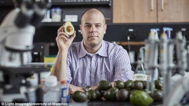 Avocado-ul luptă împotriva unei boli necruţătoare, care ucide 10.000 de persoane anual: leucemia