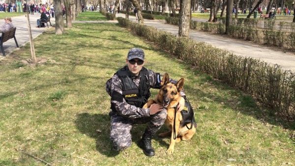 Fetiţă de doi ani dispărută de acasă, salvată de câinele poliţist Gom, în Bihor