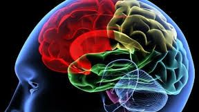 Cum poate fi prevenită îmbătrânirea prematură a creierului