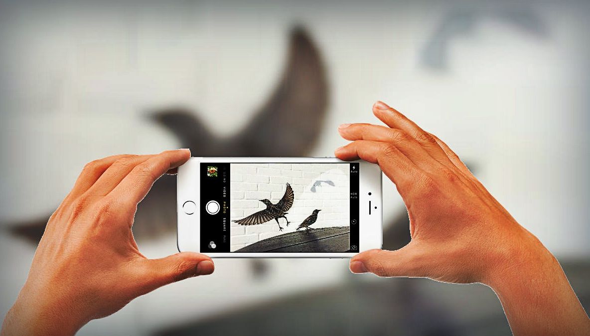 Ai să crezi că vezi poze făcute cu cele mai scumpe aparate, dar realitatea e cu totul alta!