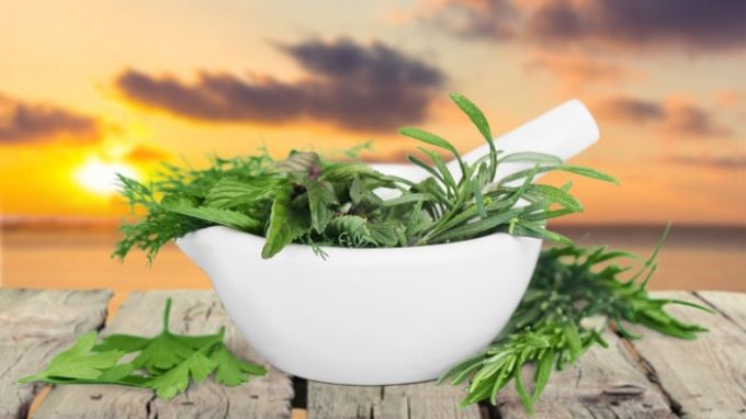 Plante care scad tensiunea arterială