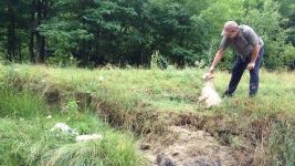 Disperare într-o comună din România. Oamenii se plâng că le mor animalele din cauza apei infestate 