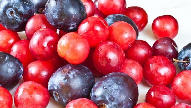 Dieta cu corcoduşe. Cum să slăbeşti rapid în două săptămâni 