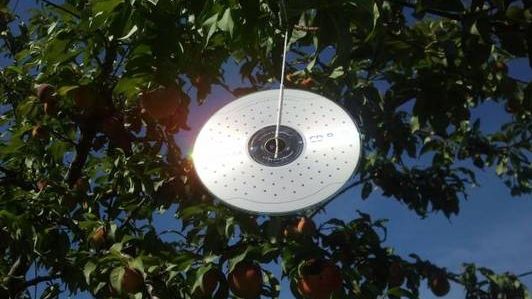 Agață, vara, un DVD în fața geamului deschis. Efectele sunt uimitoare