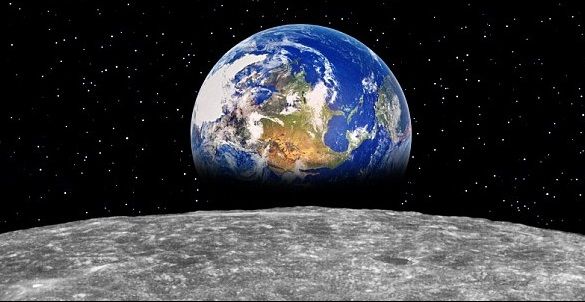 A început a șasea extincție în masă pe Pământ. Ce a declanșat-o