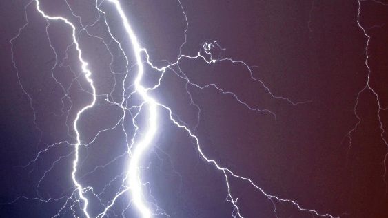 Furtună în Capitală. Zeci de arbori căzuţi, mai multe maşini avariate