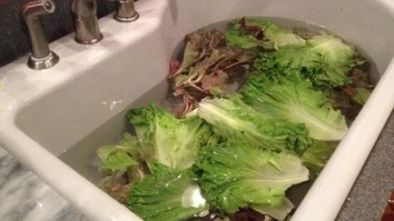 Cum revigorezi legumele care şi-au pierdut din prospeţime