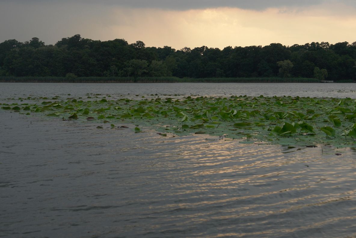 Accident grav pe lacul Snagov. Două bărci s-au ciocnit: Barbatul dat dispărut a fost găsit mort