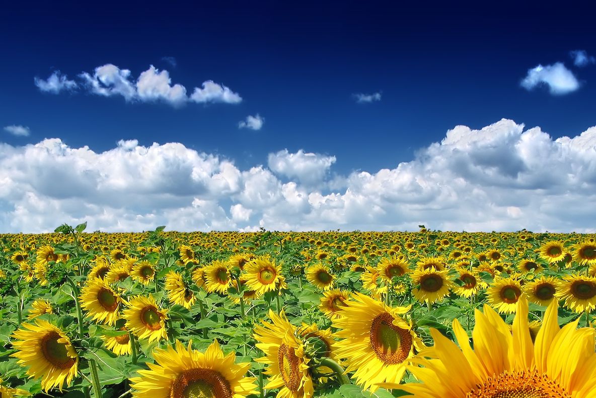 Anunțul meteorologilor. Ce ne așteaptă la mijlocul lunii iunie. Prognoza pe două săptămâni