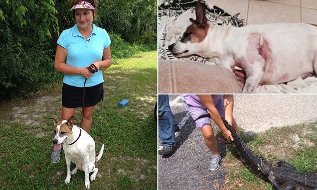 O femeie a sărit în mlaștină peste un crocodil ca să își salveze cățelul. Au urmat scene de groază