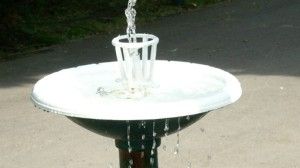 "Vrem cișmele pentru București!". 12 organizații cer mai multe țâșnitori în Capitală